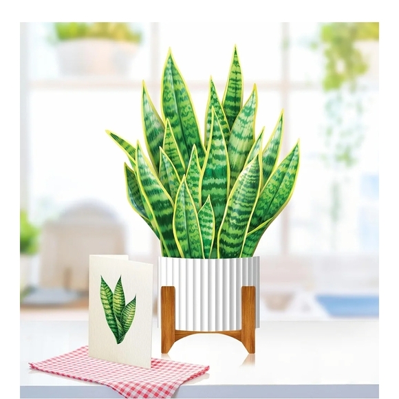 Vibrant Green Snake Plant Pop-Up Card - Picture 3 of 9